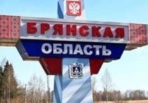 Украинские диверсанты попытались прорваться на территорию России в Климовском районе Брянской области