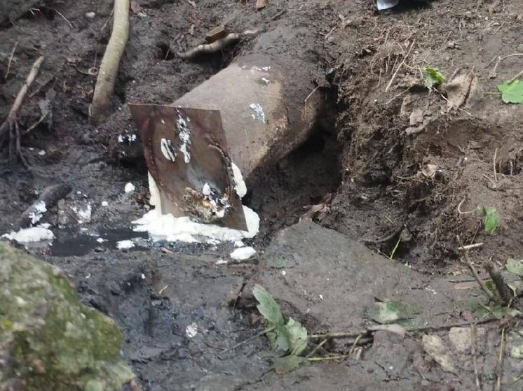 В Калининграде благоустроят Парковый ручей