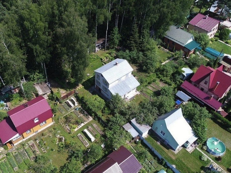 Более 40 самовольно занятых участков выявлено в лесах Подмосковья