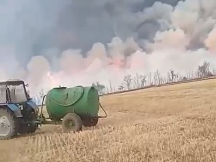 На Дону из-за крупного пожара в Орловском районе ввели режим ЧС