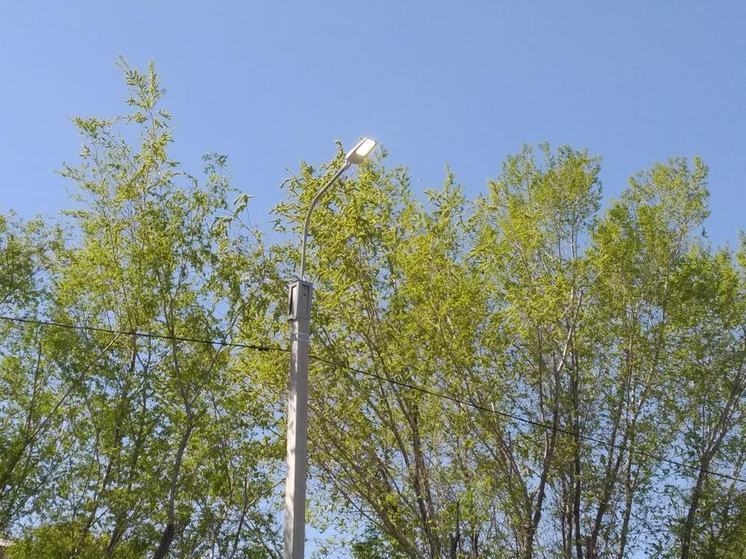 В Омске парки обработали от опасных насекомых