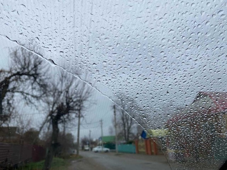 В Ростовской области 23 августа прогнозируют дождь