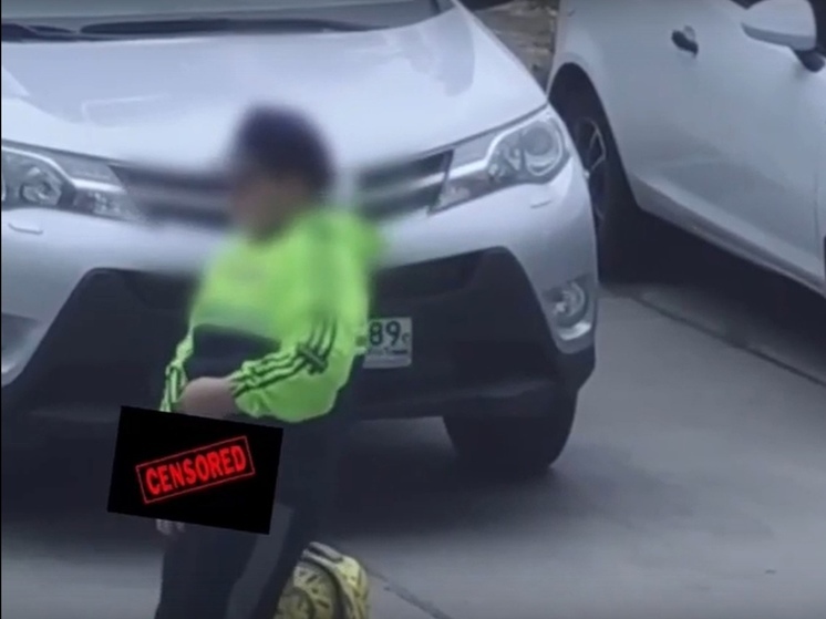 В Ноябрьске полиция проводит проверку в отношении показывающего половые органы ребенка