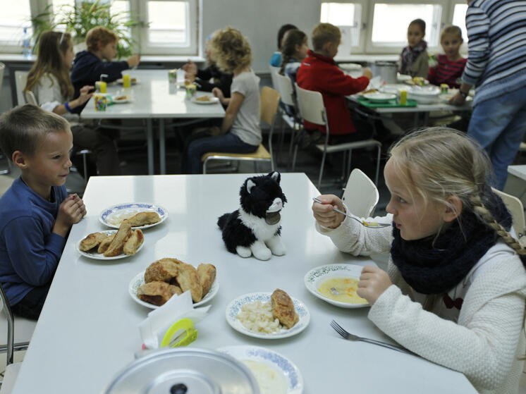 Почти 270 тысяч школьников Подмосковья получат бесплатное питание
