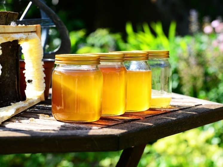 Пчеловоды в Иванове планируют развивать агротуризм