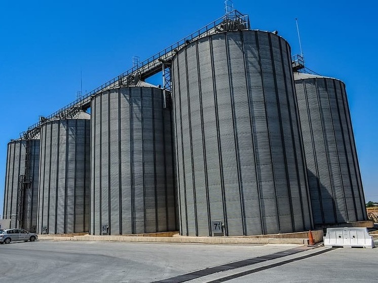 Беларусь предоставит ДНР силосы для хранения зерна