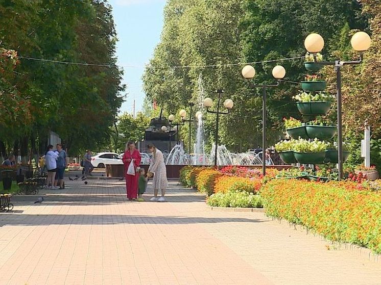 Семилетняя модернизация освещения брянской Унечи завершена