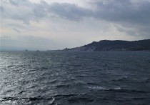 Из-за лесных пожаров в турецкой провинции Чанаккале временно запрещено движение морских судов в проливе Дарданеллы в обе стороны