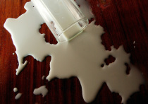 Семь из десяти образцов ультрапастеризованного молока, продаваемого в магазинах Северной столицы, не содержат молочного жира. Об этом на прошлой неделе сообщили в Санкт-Петербургской общественной организации потребителей «Общественный контроль». Горожанам также дали советы по выбору качественных молочных продуктов.