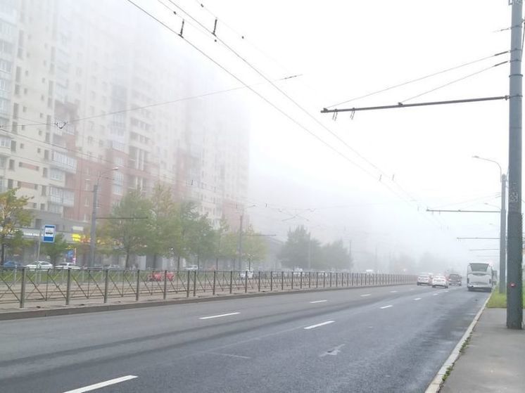 В Ленобласти в ночь на 25 августа температура воздуха упадет до +3 градусов