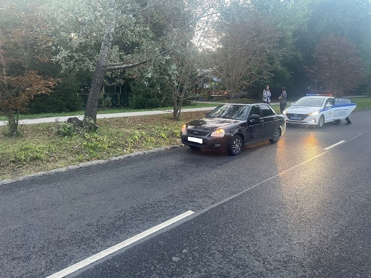 Авто в рязанской области