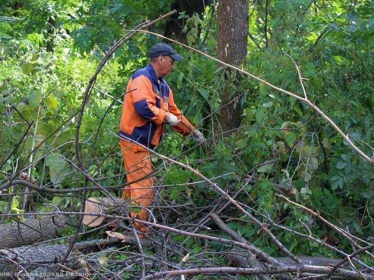 За неделю в Рязани спилили 40 аварийных деревьев