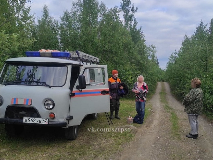 Спасатели отыскали заблудившуюся в Кольском районе женщину