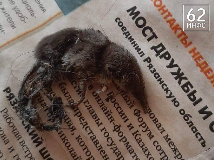 Жительница Рязани пожаловалась на хамство со стороны сотрудницы жилинспекции