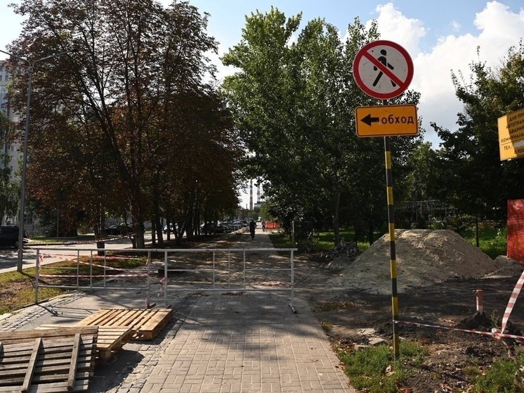 Демидов рассказал как проходит реконструкция центрального городского парка в Белгороде