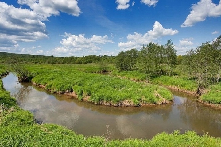 Реки ярославской области фото