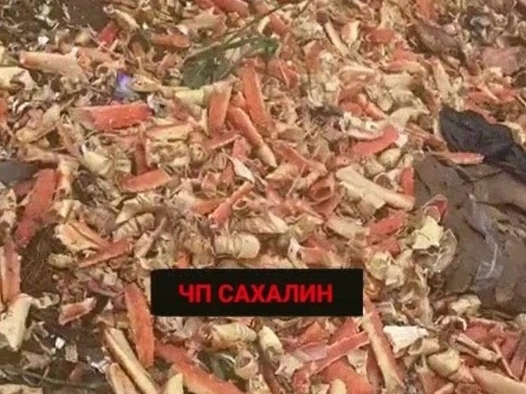 Огромную крабовую свалку обнаружили на Сахалине