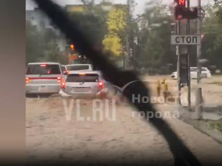 Поток воды унес мужчину под микроавтобус во Владивостоке