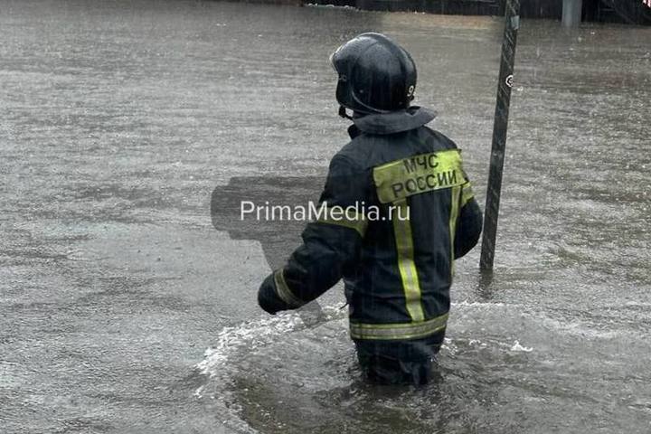 Машины во владивостоке зеленый