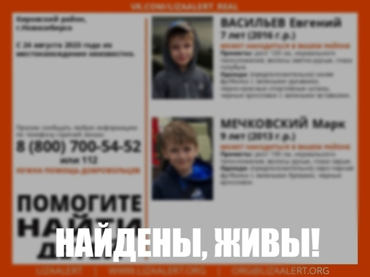 В Новосибирске завершили поиски двух пропавших накануне мальчиков 7 и 9 лет