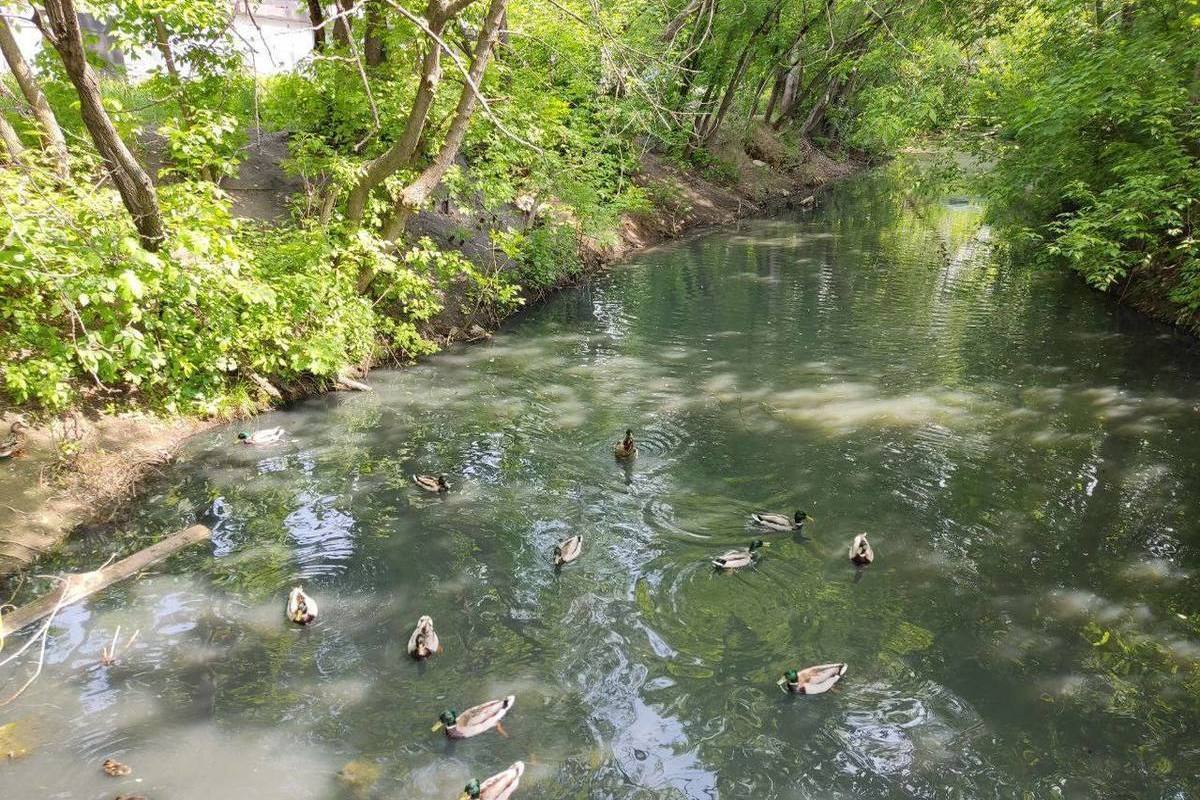 Генератор в нижнем новгороде