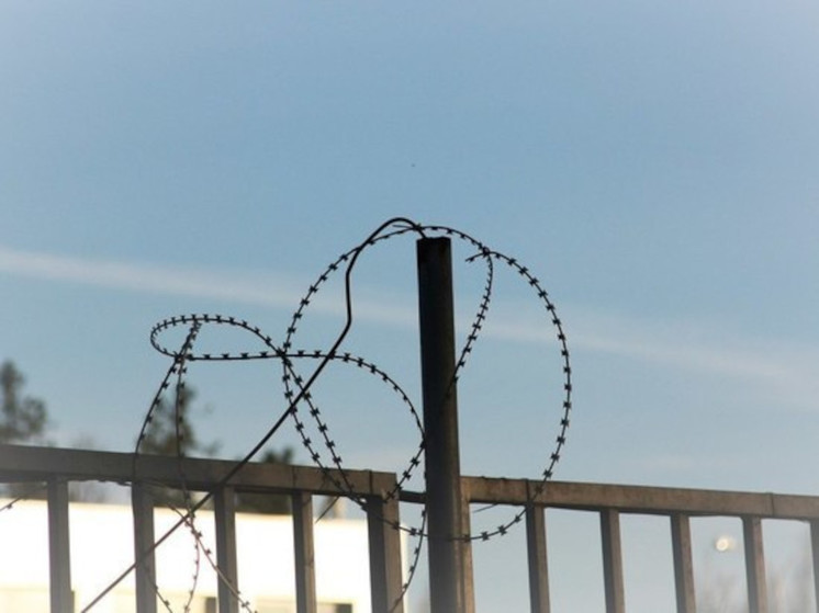 Трех судимых кандидатов в депутаты сняли с предвыборной гонки в Карелии