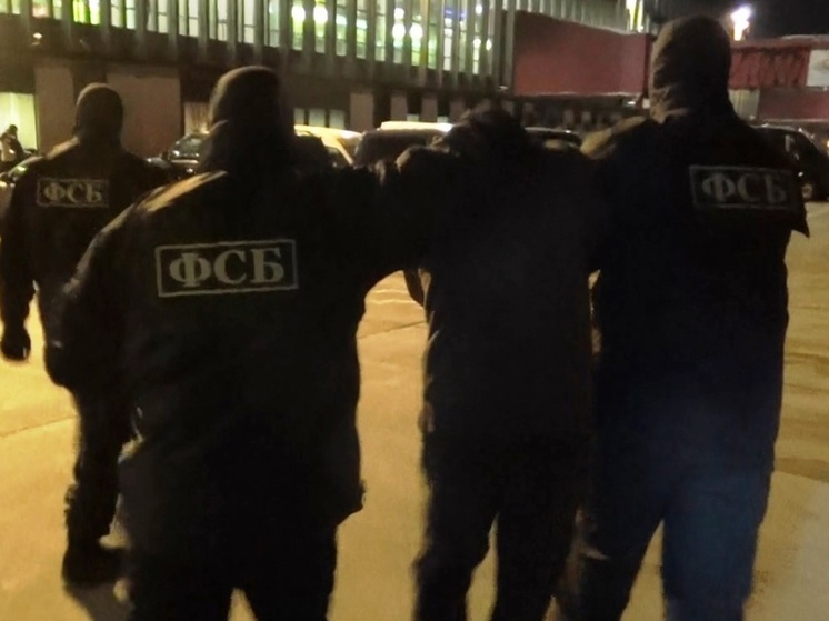 В Тверской области пресекли незаконную модернизацию и сбыт огнестрельного оружия и боеприпасов