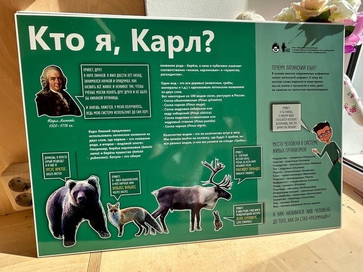 Сотрудники заповедника в Карелии учат гостей латыни