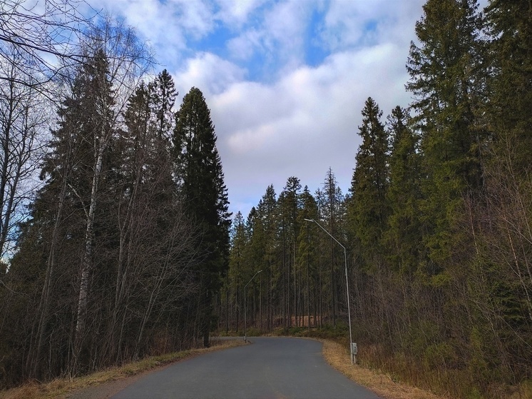 Защитники Кургана в Петрозаводске собирают доверенности на общественные слушания