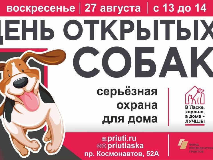 Приют «Ласка» приглашает барнаульцев на «День серьезных собак»