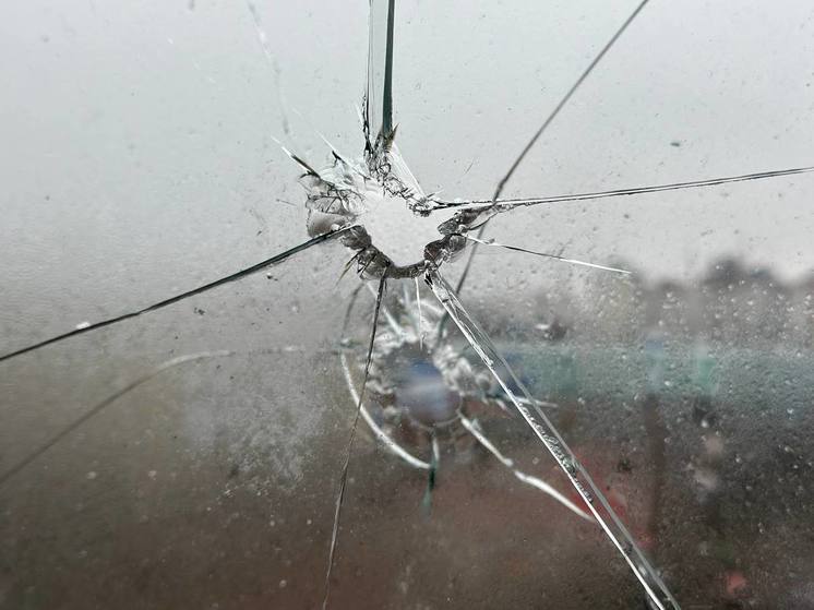Пять домов и два автомобиля пострадали при обстреле Новой Таволжанки в Белгородской области