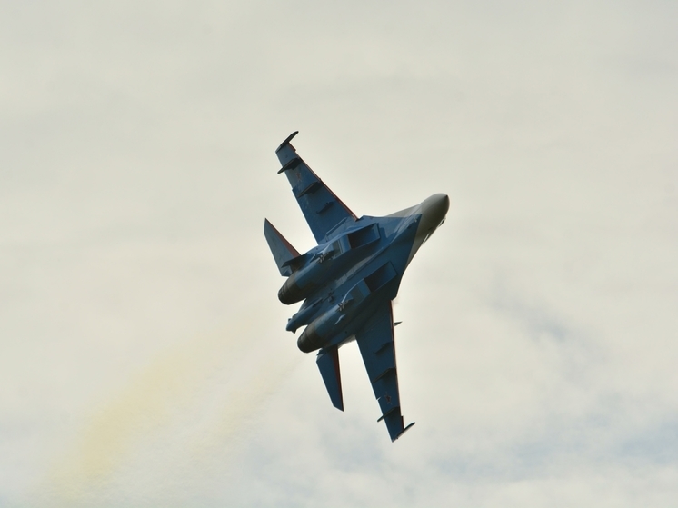 В Минобороны РФ сообщили об уничтожении двух украинских Су-25