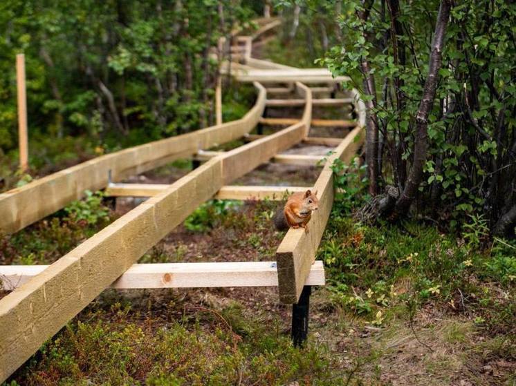 Осенью в Мурманске появятся новые экотропы
