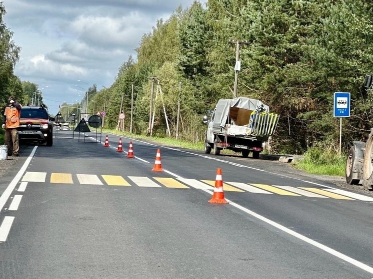 Дорожные строители завершили ремонт Нехинского шоссе в Новгородском районе