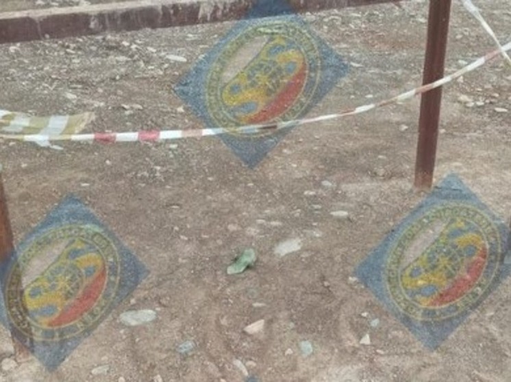 Два подозрительных предмета в один день обнаружили в Южно-Сахалинске