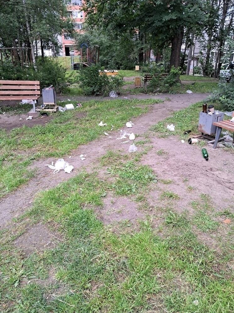 Жители Петрозаводска не могут отпустить детей гулять из-за свинарника на улице