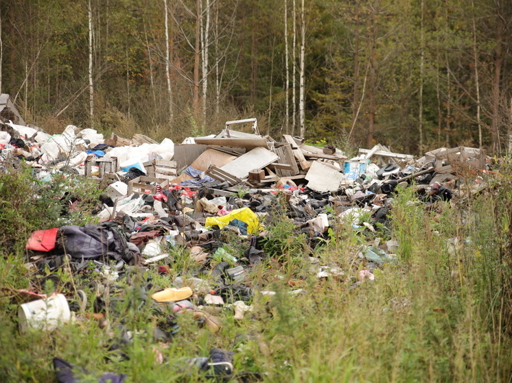 В Волотовском районе по требованию прокуратуры убрали незаконную свалку