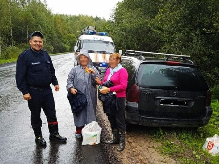 Пенсионерки заблудились в лесу в Ступино