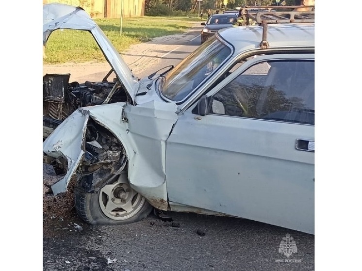 Трое маленьких детей травмированы в ДТП в Калуге