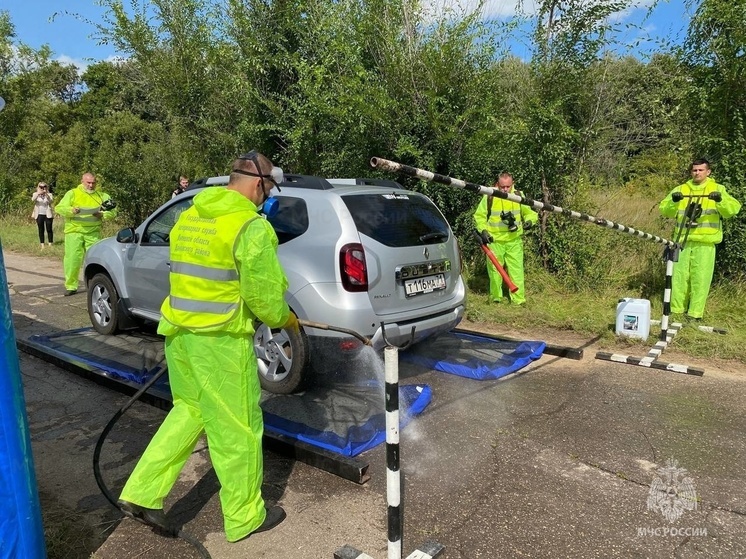 Под Кимовском побороли условный очаг африканской чумы свиней