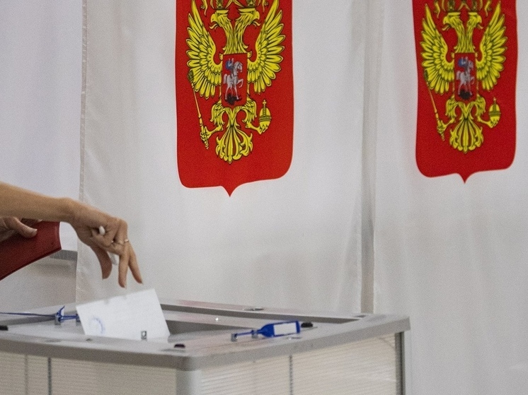 Владимирская область получила 2 млн бюллетеней к выборам