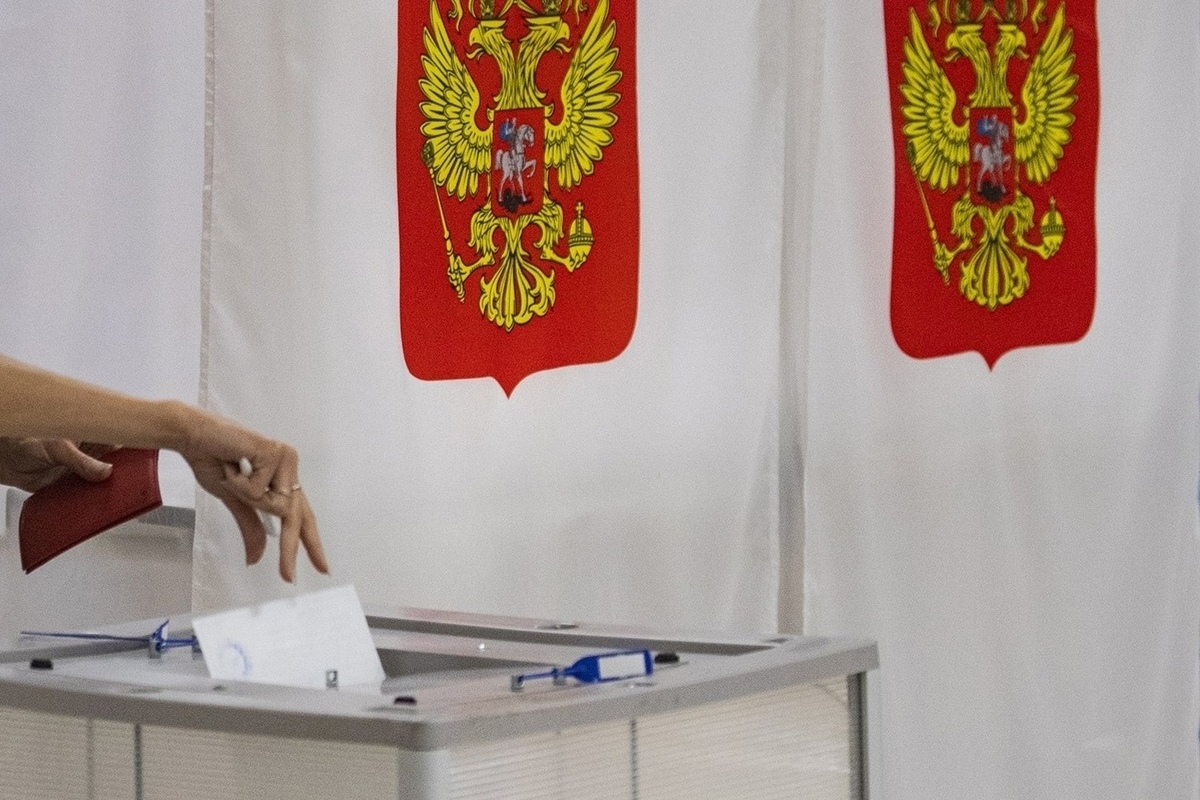 Явка на выборах кострома. Выборы в Костроме 2024.