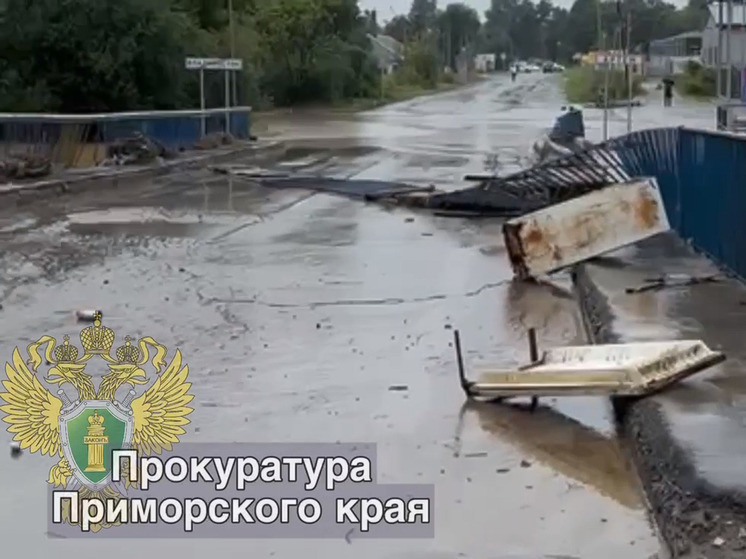 Движение по мосту в поселке Трудовое в Приморье открыто