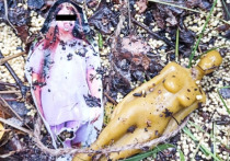 Жительница Заринска во время сбора грибов обнаружила место таинственных обрядов