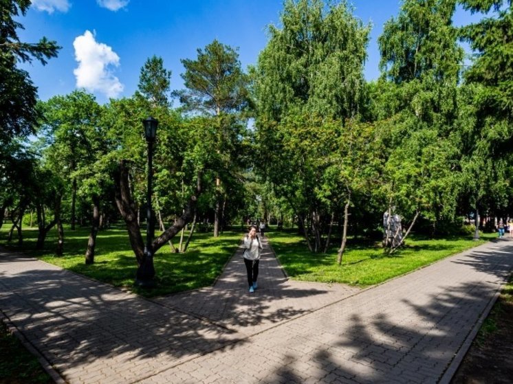 В Новосибирске собственник пообещал снести Park cafe