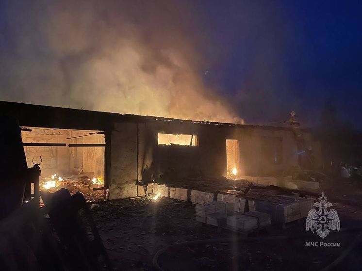 В Новгородском районе обрушилась кровля хозяйственной постройки из-за пожара