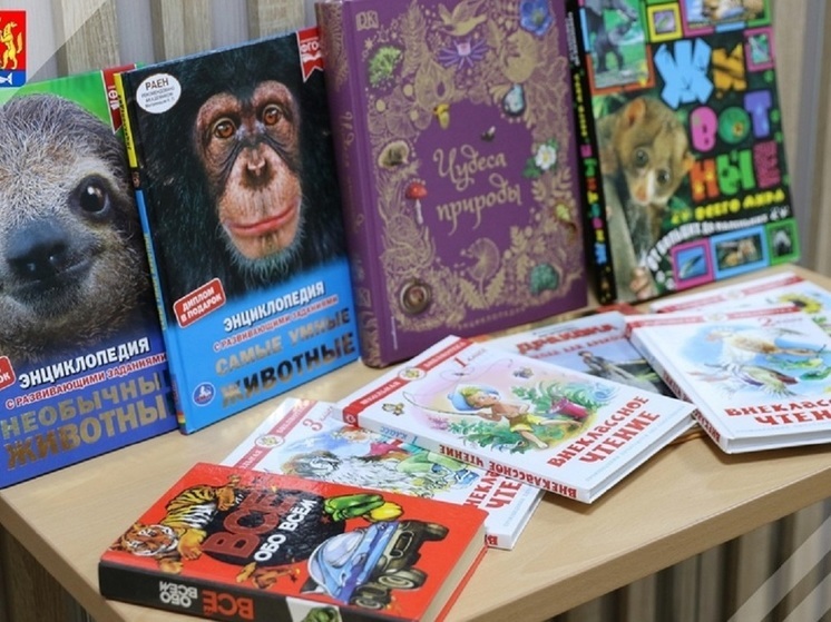 В Красноселькупе собирают художественную литературу для школы Волновахского района