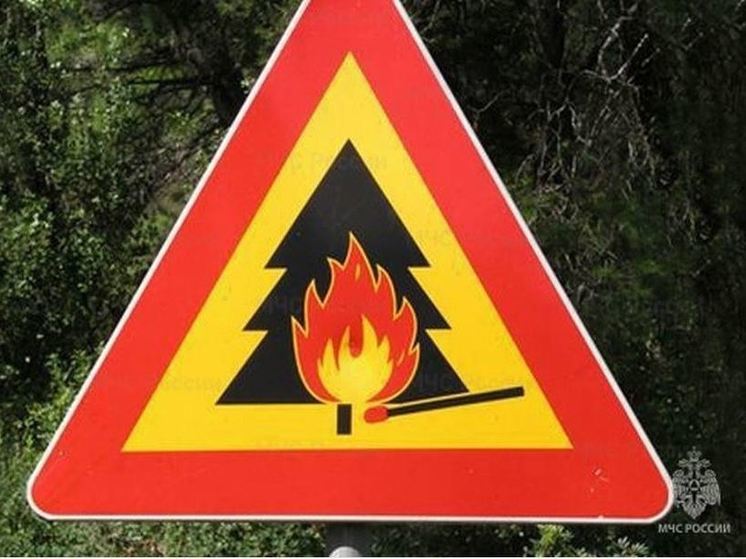 Озвучили условия введения особого противопожарного режима в Орловском округе
