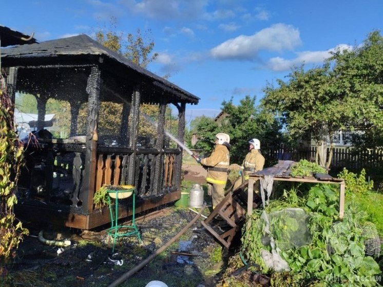 Спасатели потушили пожар в беседке в Малой Вишере за 12 минут