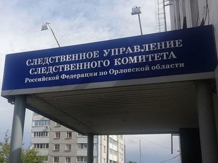 Жителей Орловской области предупредили о хитрых уловках мошенников